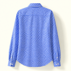 The Blue Check Blouse