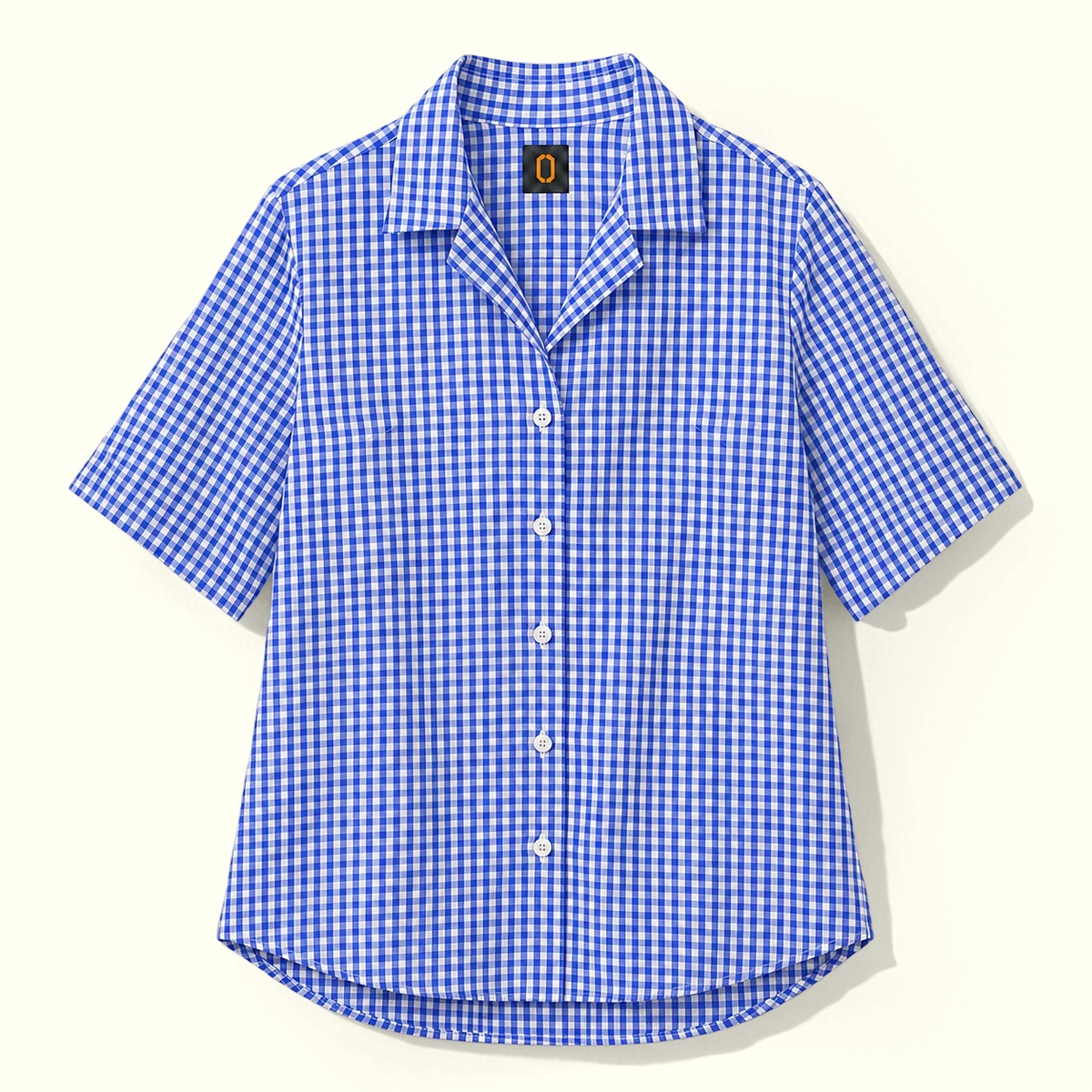 The Blue Check Blouse