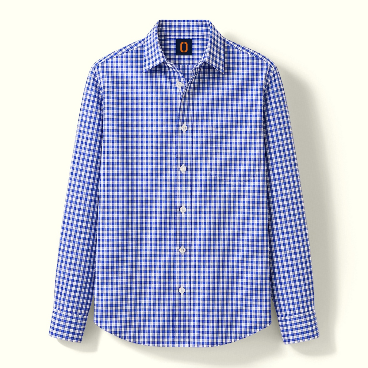 The Blue Check Shirt