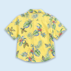 Tropical Sunshine